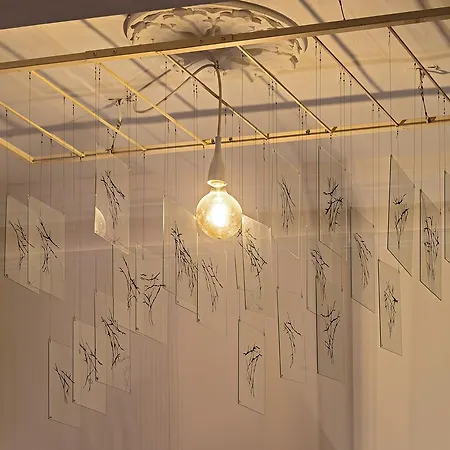 The Snop House سنجليا